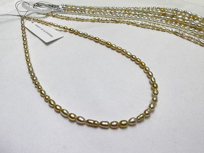 South Sea Golden Keshi Pearl Strand | AAAA Grade