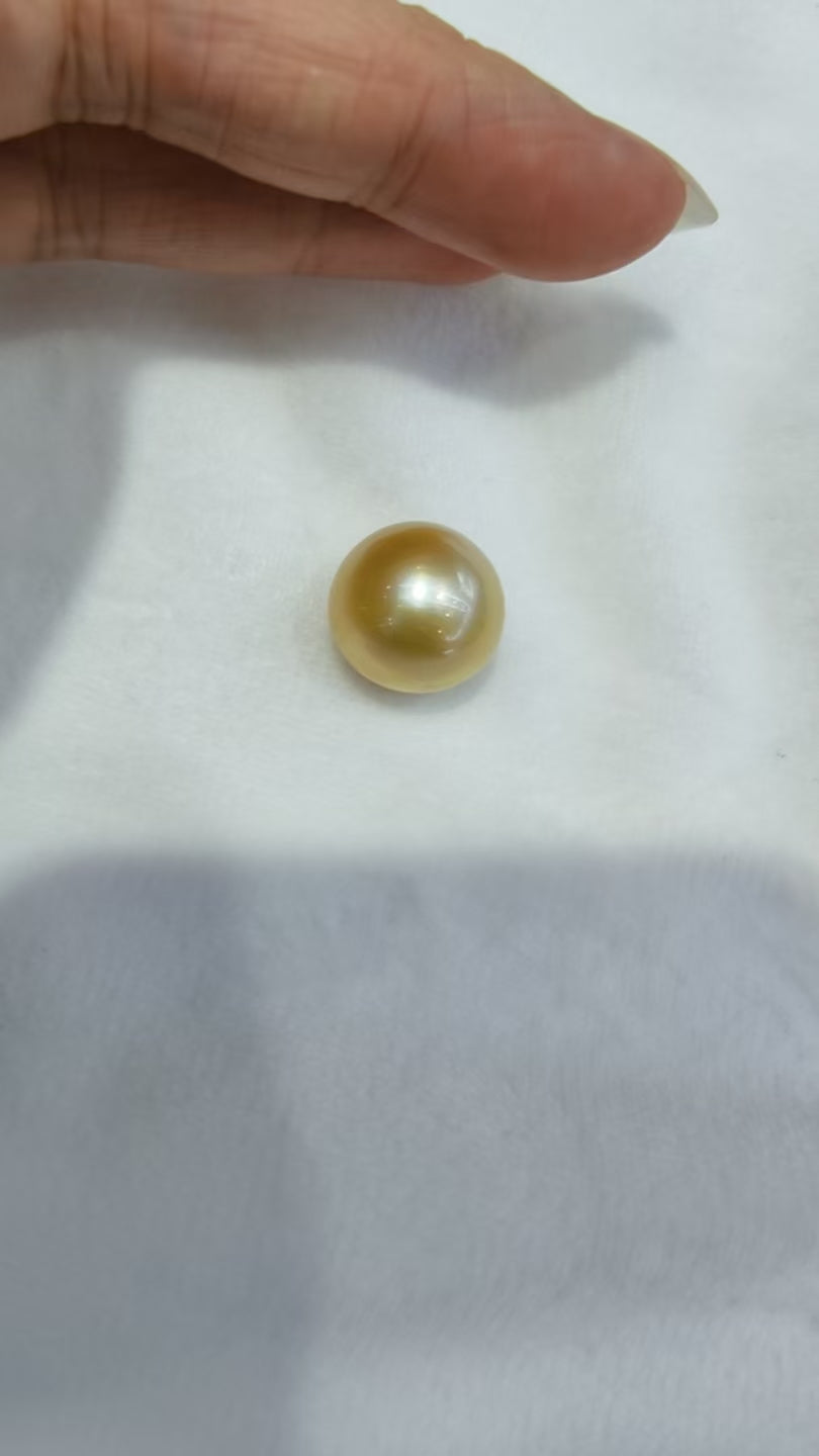 Medium Gold South Sea Golden Pearl | 15.4mm AAA Grade