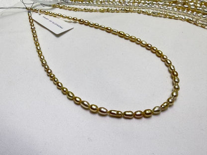 South Sea Golden Keshi Pearl Strand | AAAA Grade
