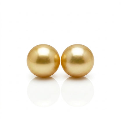 Medium Gold South Sea Golden Pearl Matched Pair | 15.4mm AA Grade