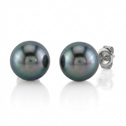 S925 Silver - Tahitian Pearl Stud Earrings | 12–13mm AAA Grade