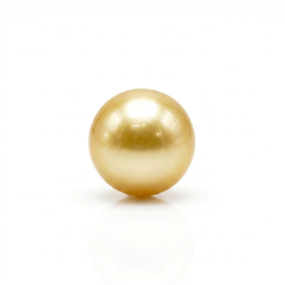 Medium Gold South Sea Golden Pearl | 15.4mm AAA Grade