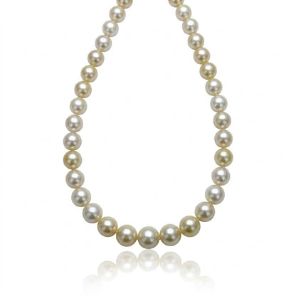Light Gold South Sea Pearl Loose Strand | 9–12mm AAAA Grade | 37 Pearls per Strand