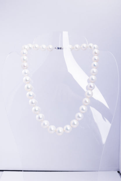 S925 Silver - Freshwater Pearl Necklace | 11–13mm