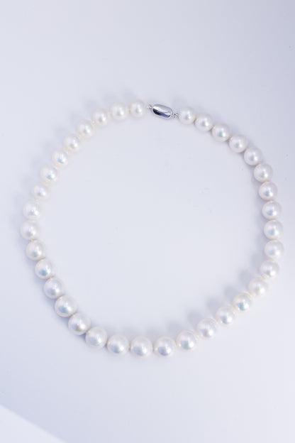 S925 Silver - Freshwater Pearl Necklace | 11–13mm
