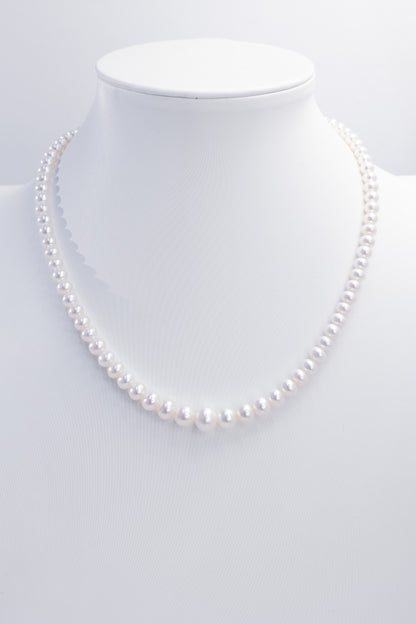 S925 Silver - Moonlit Gradient Freshwater Pearl Necklace | 3–10mm AAA Grade