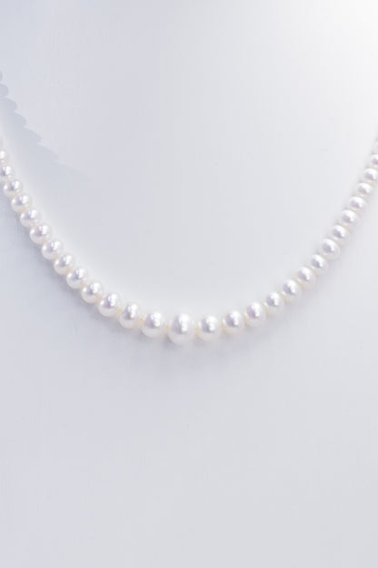 S925 Silver - Moonlit Gradient Freshwater Pearl Necklace | 3–10mm AAA Grade