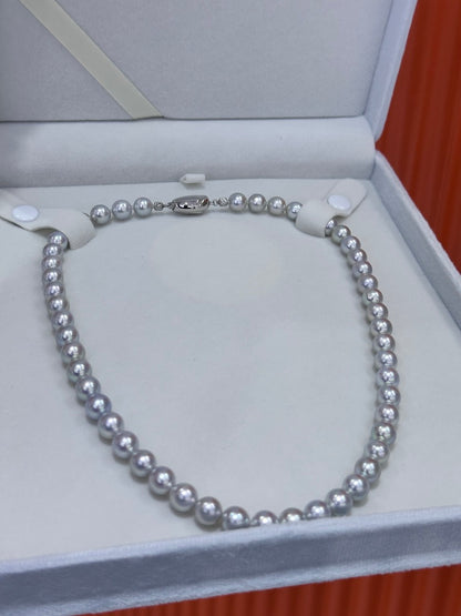 S925 Silver - Akoya Gray Pearl Necklace