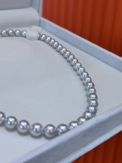 S925 Silver - Akoya Gray Pearl Necklace