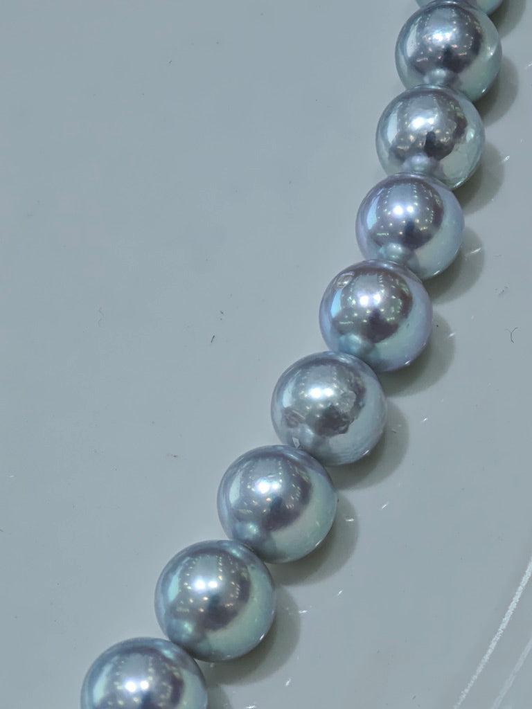 S925 Silver - Akoya Gray Pearl Necklace