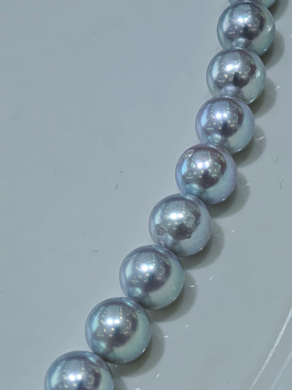 S925 Silver - Akoya Gray Pearl Necklace