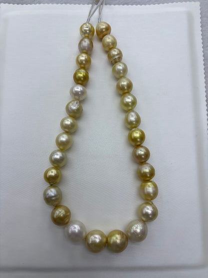 Golden South Sea Pearl Strand | 12–16mm AA Grade