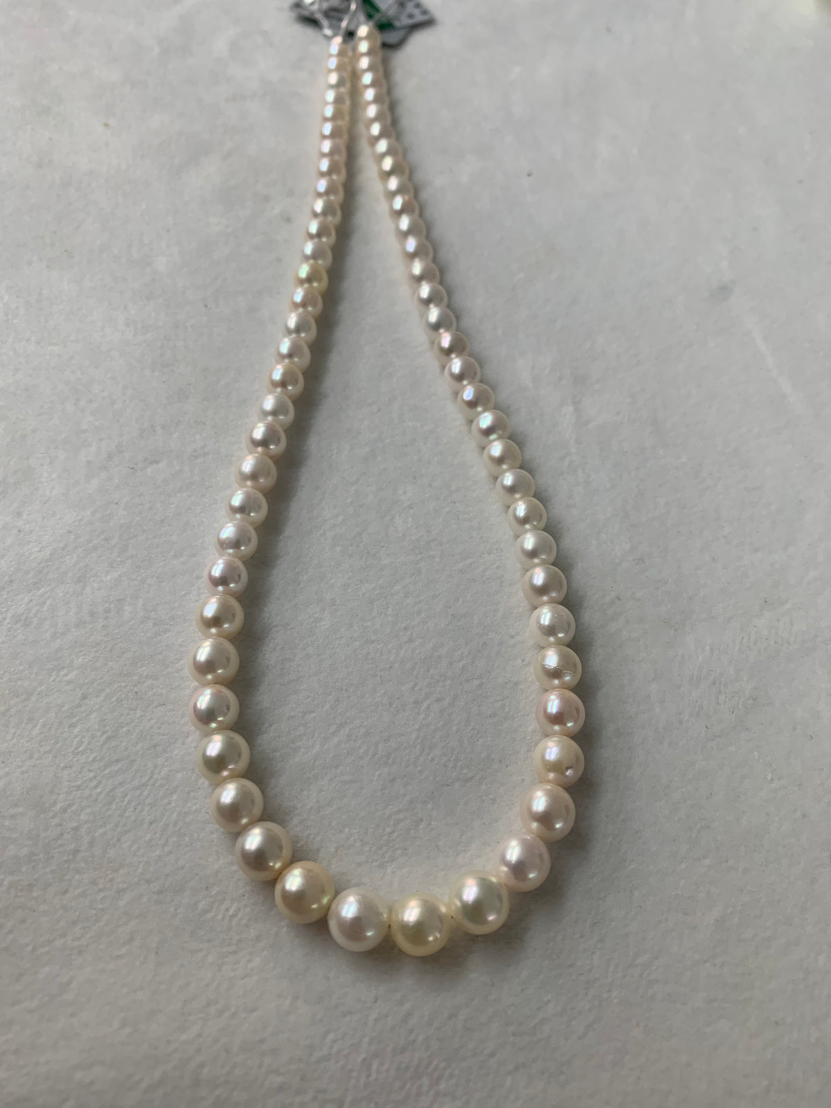 White Akoya Pearl Strand | 6–6.5mm AAA Grade