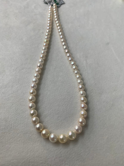White Akoya Pearl Strand | 6–6.5mm AAA Grade