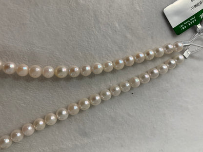 White Akoya Pearl Strand | 5.5–6mm AAA Grade