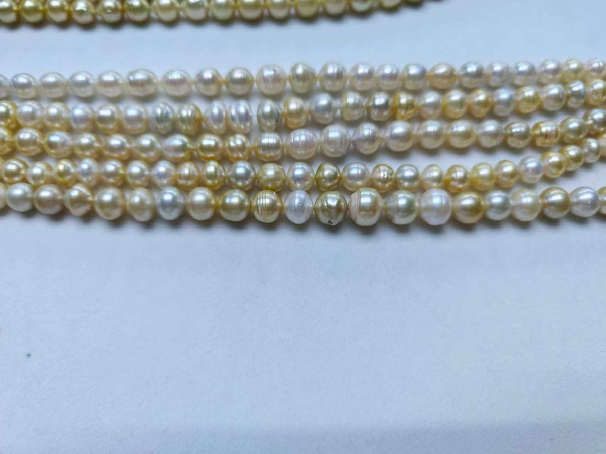 Light Golden Saltwater Circled Pearl Strand | 8–12mm AAA+ Grade