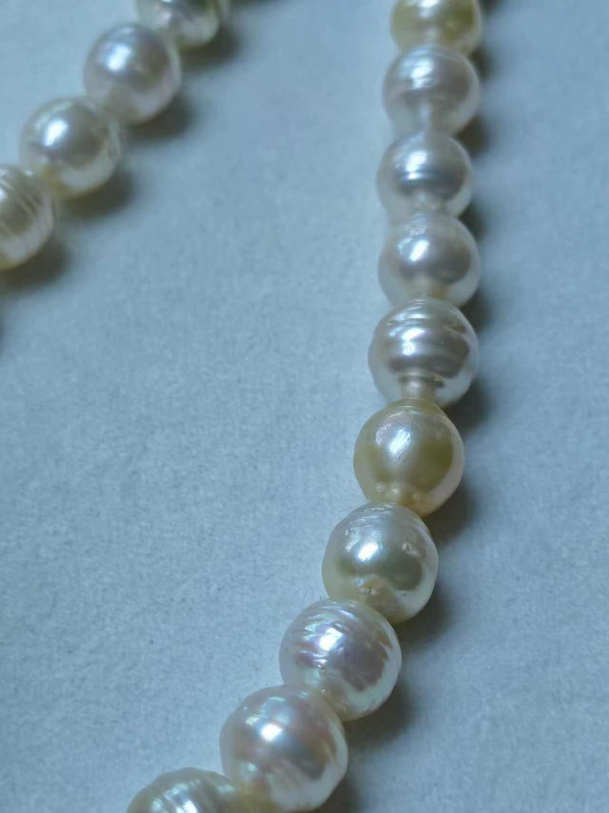 Light Golden Saltwater Circled Pearl Strand | 8–12mm AAA+ Grade