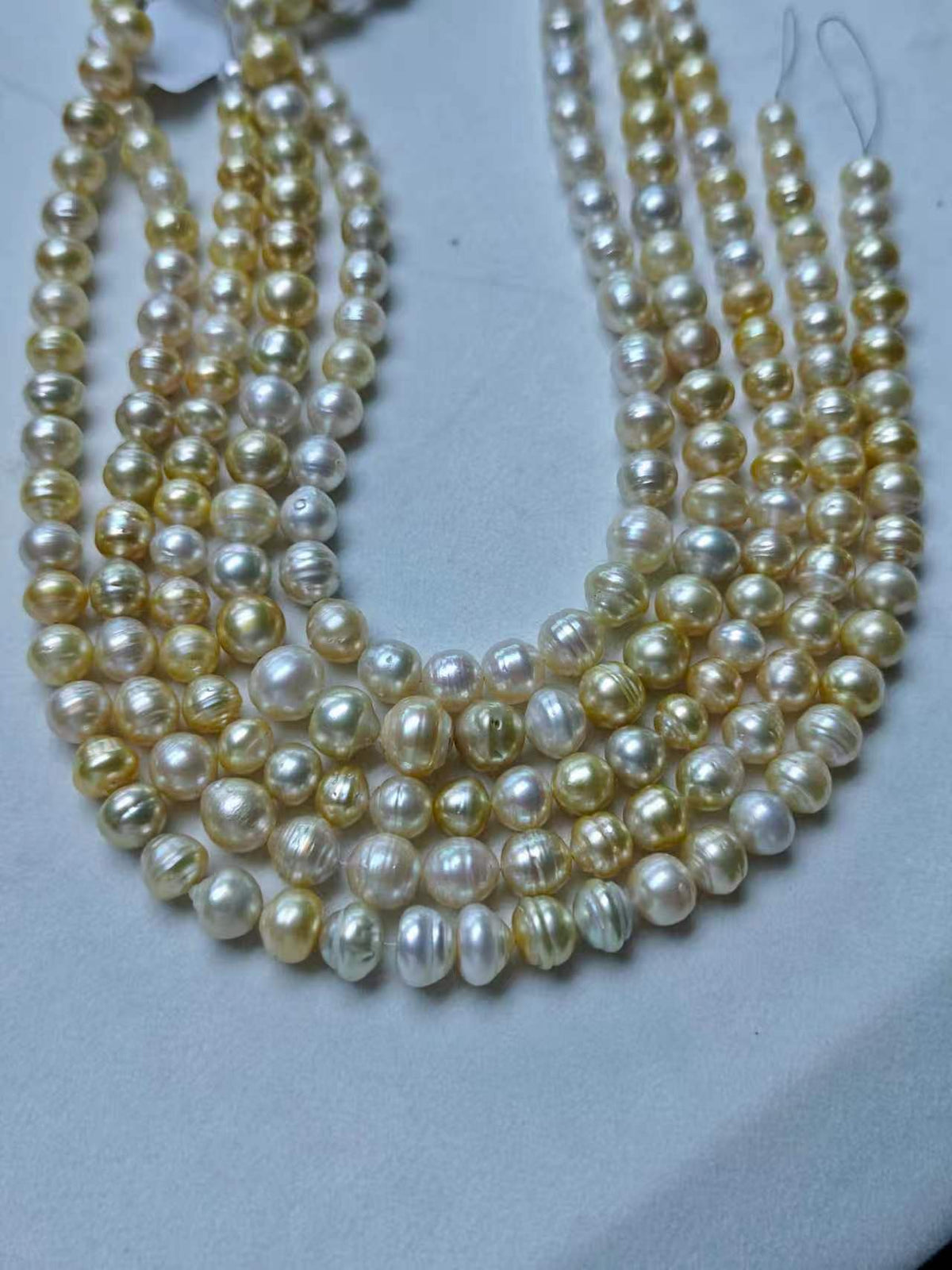 Light Golden Saltwater Circled Pearl Strand | 8–12mm AAA+ Grade