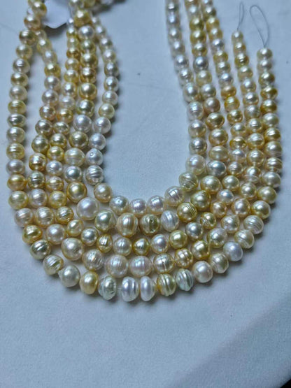 Light Golden Saltwater Circled Pearl Strand | 8–12mm AAA+ Grade