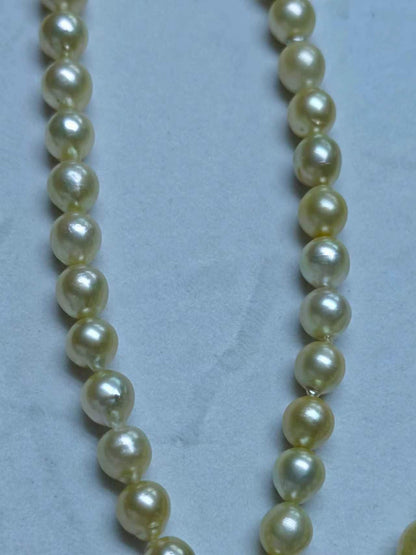 Light Gold Saltwater Baroque Pearl Strand | 9–11mm AA Grade
