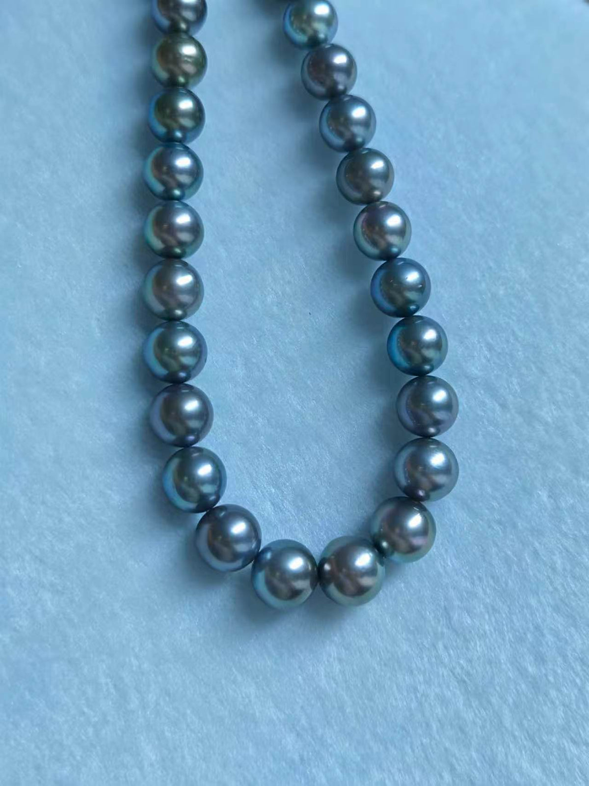 Platinum Grey Tahitian Pearl Strand | 11–14.3mm AAA–AAAA Grade | PSL Certified