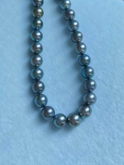 Platinum Grey Tahitian Pearl Strand | 11–14.3mm AAA–AAAA Grade | PSL Certified