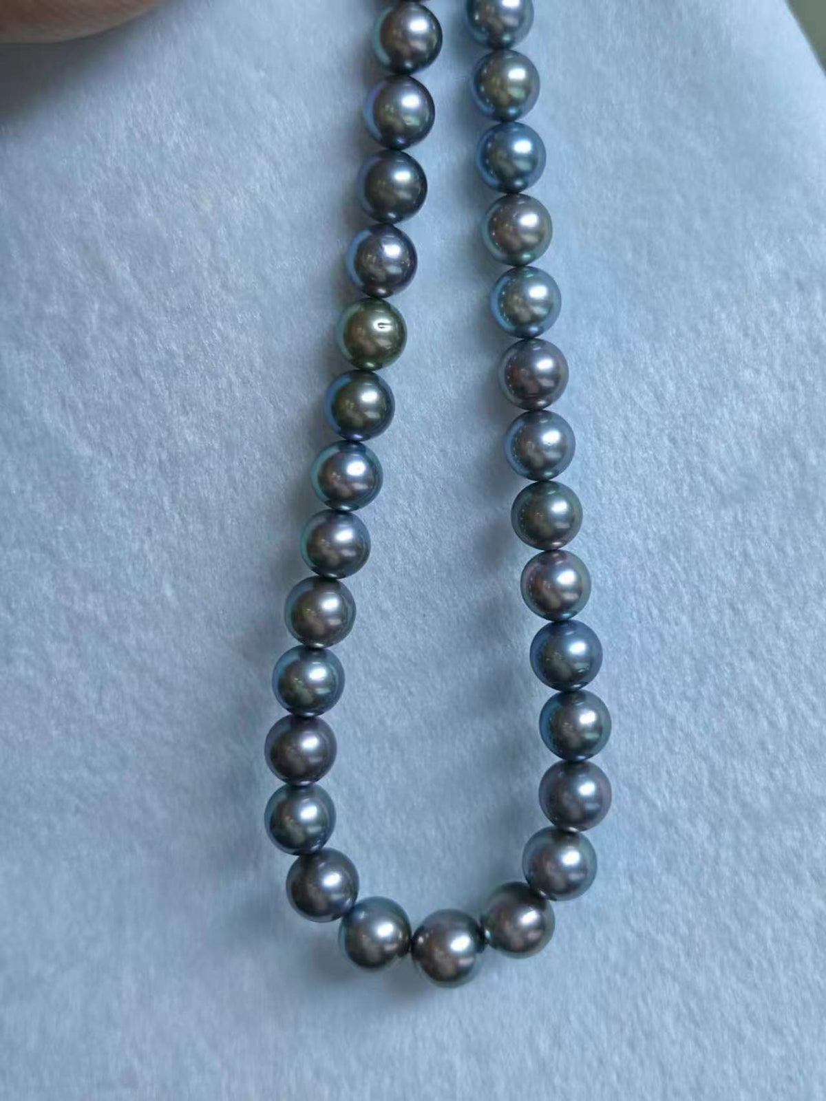Platinum Grey Tahitian Pearl Strand | 11–14.3mm AAA–AAAA Grade | PSL Certified