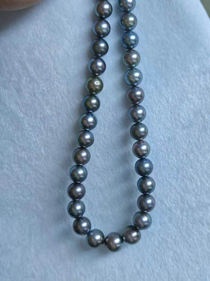 Platinum Grey Tahitian Pearl Strand | 11–14.3mm AAA–AAAA Grade | PSL Certified