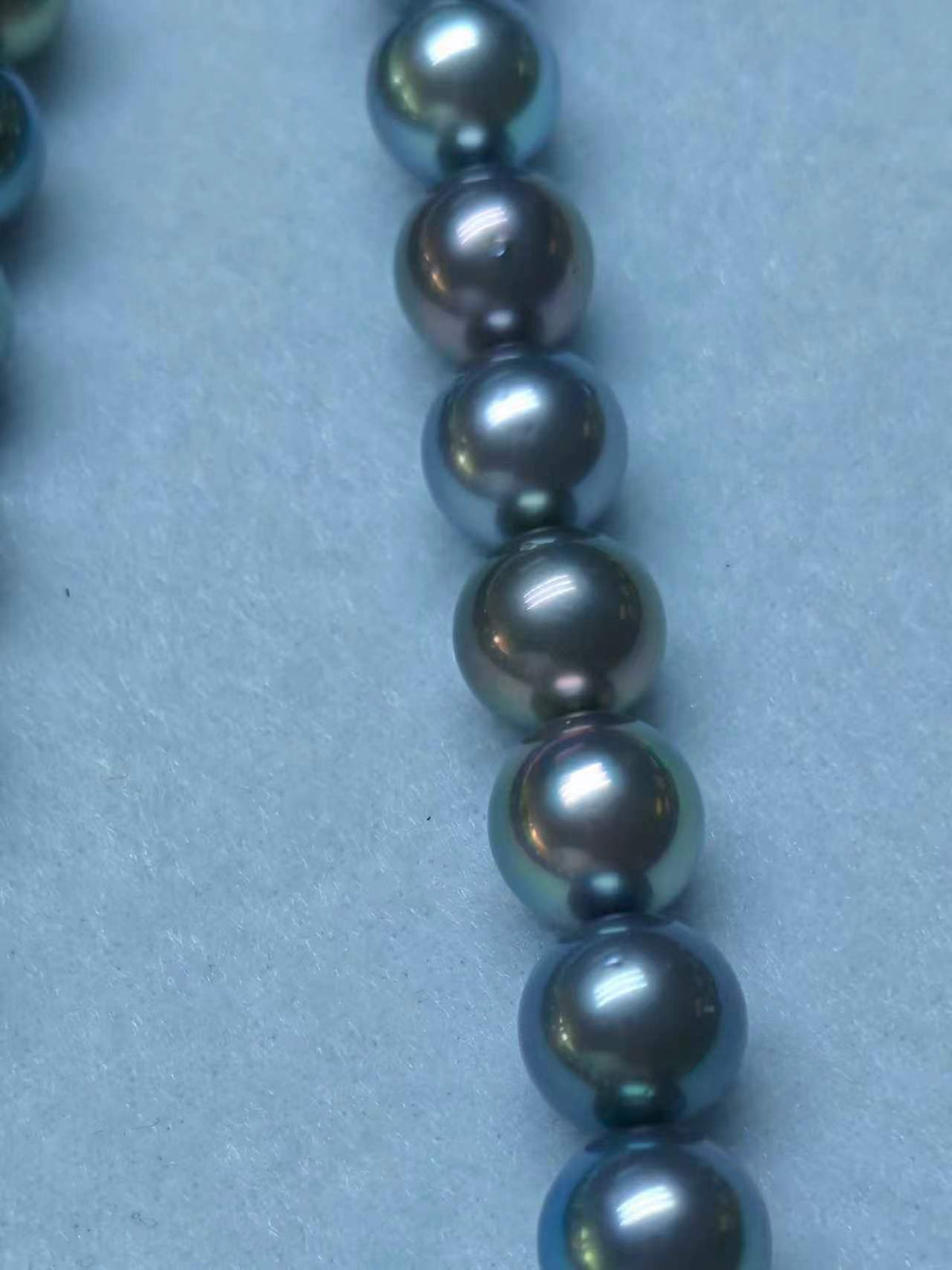 Platinum Grey Tahitian Pearl Strand | 11–14.3mm AAA–AAAA Grade | PSL Certified