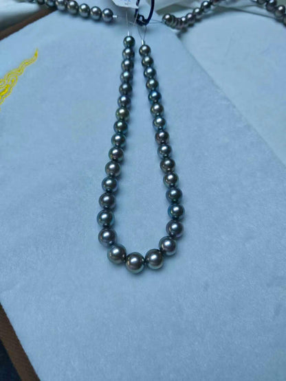 Platinum Grey Tahitian Pearl Strand | 11–14.3mm AAA–AAAA Grade | PSL Certified