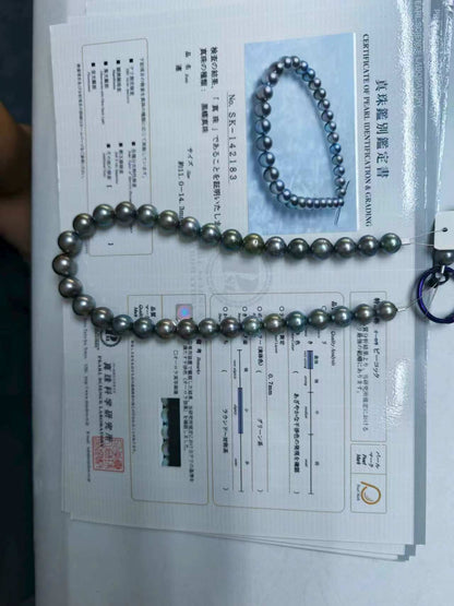 Platinum Grey Tahitian Pearl Strand | 11–14.3mm AAA–AAAA Grade | PSL Certified