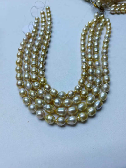 Light Gold & White Gradient Saltwater Pearl Strand | 9–12mm AA Grade