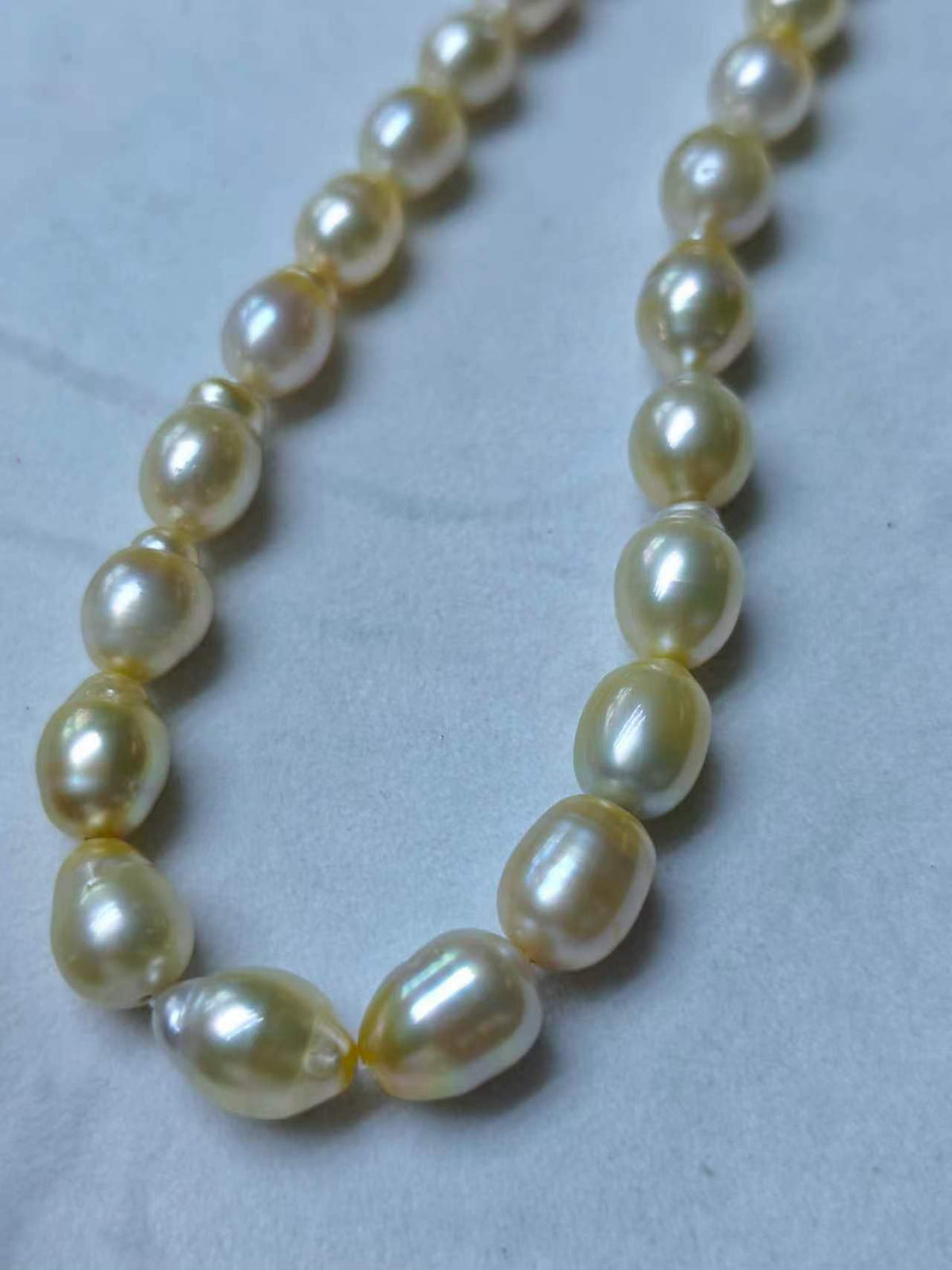 Light Gold & White Gradient Saltwater Pearl Strand | 9–12mm AA Grade