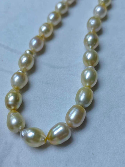 Light Gold & White Gradient Saltwater Pearl Strand | 9–12mm AA Grade