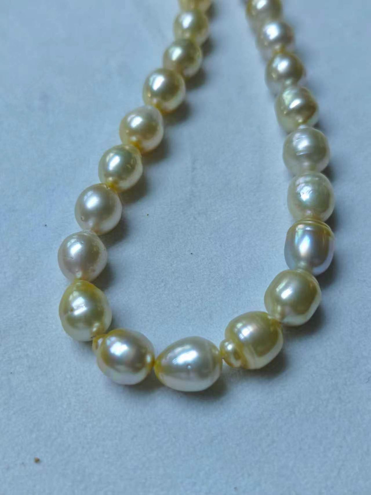 Light Gold & White Gradient Saltwater Pearl Strand | 9–12mm AA Grade