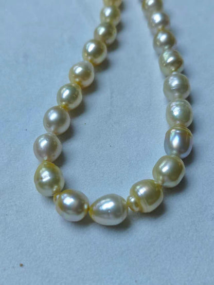 Light Gold & White Gradient Saltwater Pearl Strand | 9–12mm AA Grade