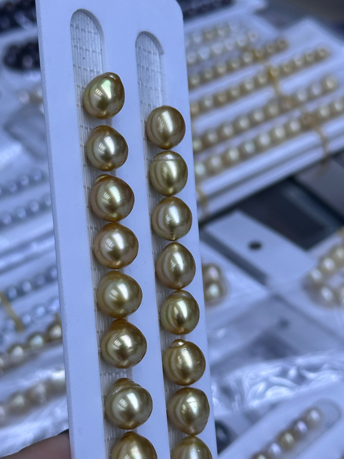 South Sea Golden Loose Pearl Strand | 12–16mm AAA- Grade | Per Strand