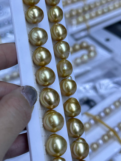 South Sea Golden Loose Pearl Strand | 12–16mm AAA- Grade | Per Strand