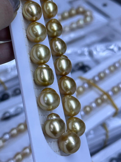 South Sea Golden Loose Pearl Strand | 12–16mm AAA- Grade | Per Strand