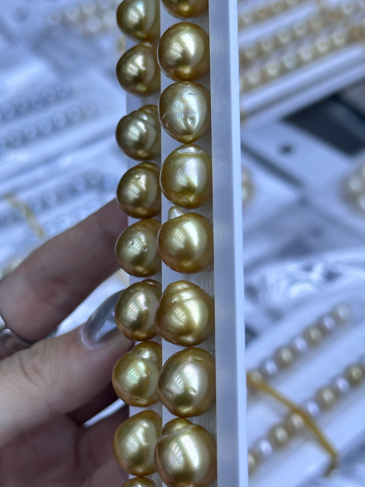South Sea Golden Loose Pearl Strand | 12–16mm AAA- Grade | Per Strand