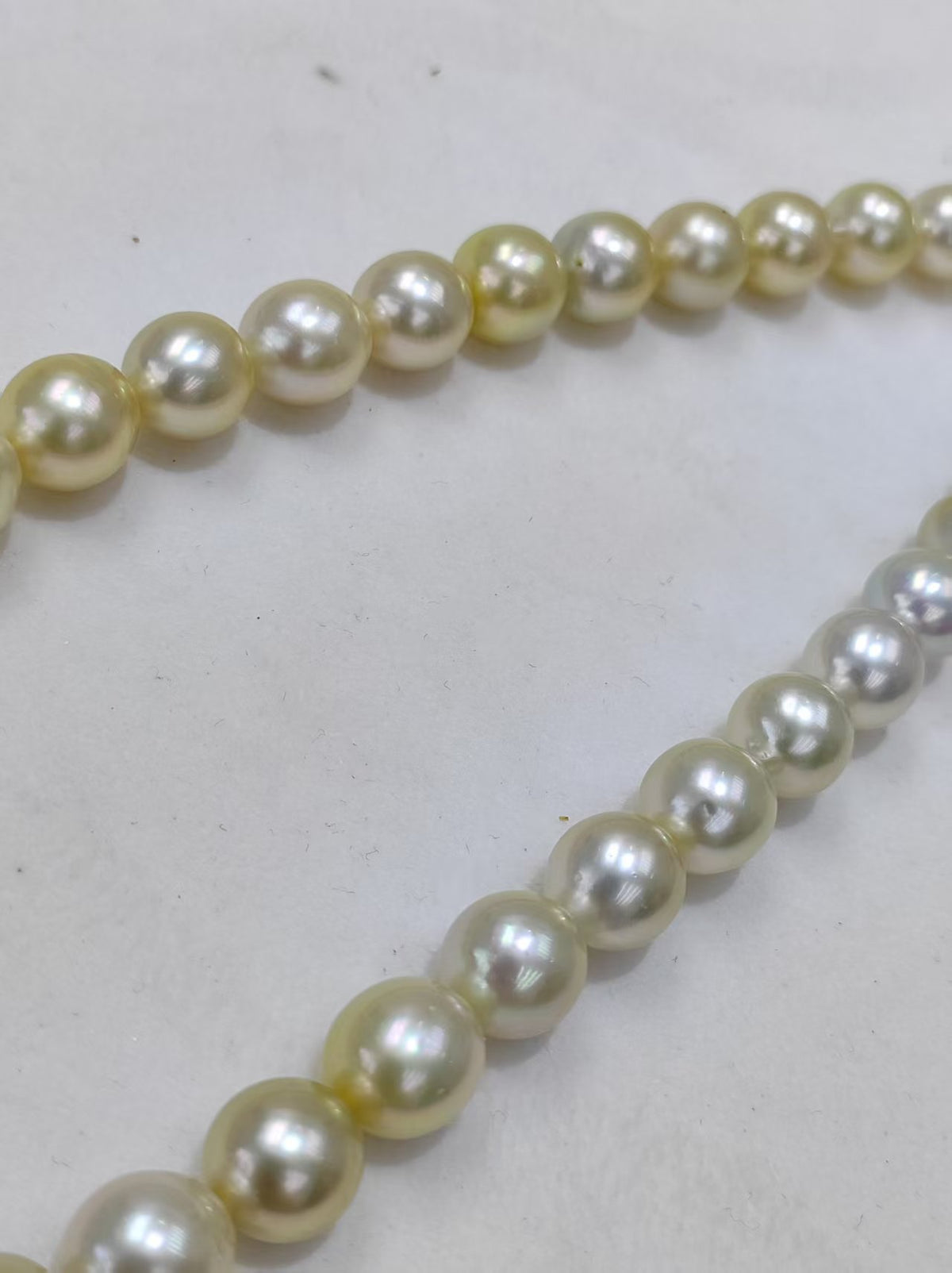 Light Gold South Sea Pearl Loose Strand | 9–12mm AAAA Grade | 37 Pearls per Strand