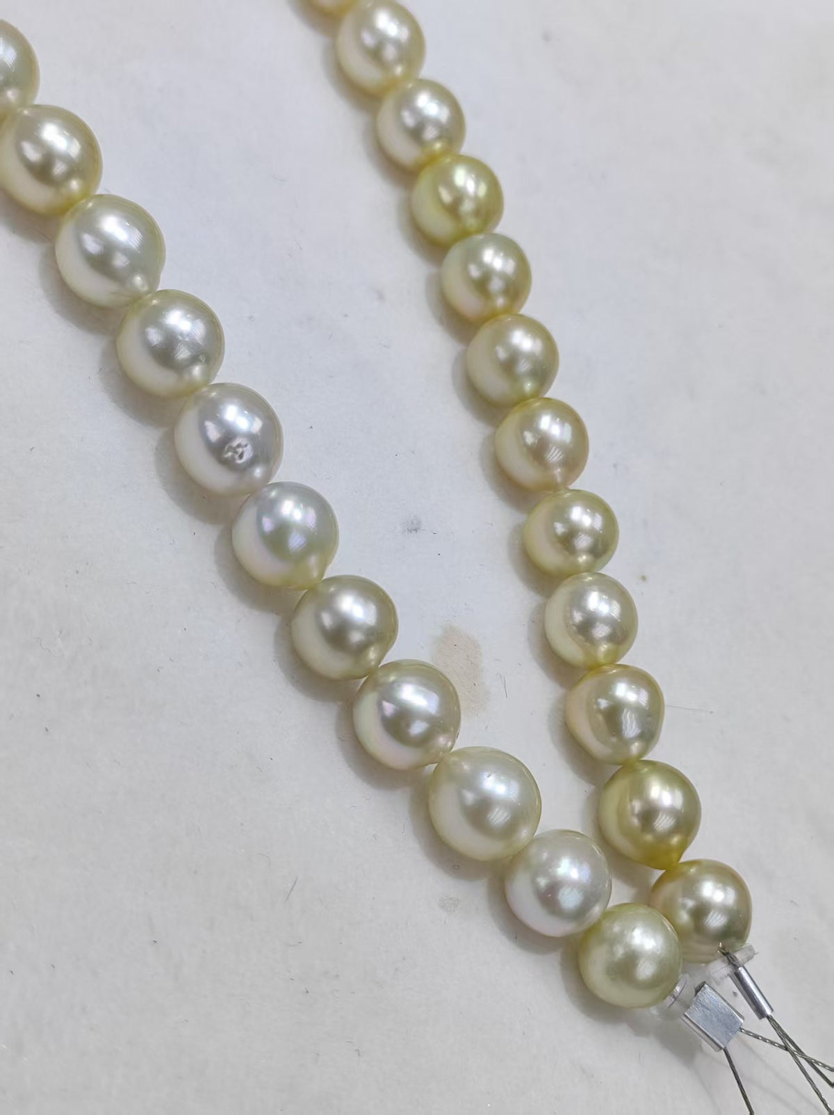 Light Gold South Sea Pearl Loose Strand | 9–12mm AAAA Grade | 37 Pearls per Strand