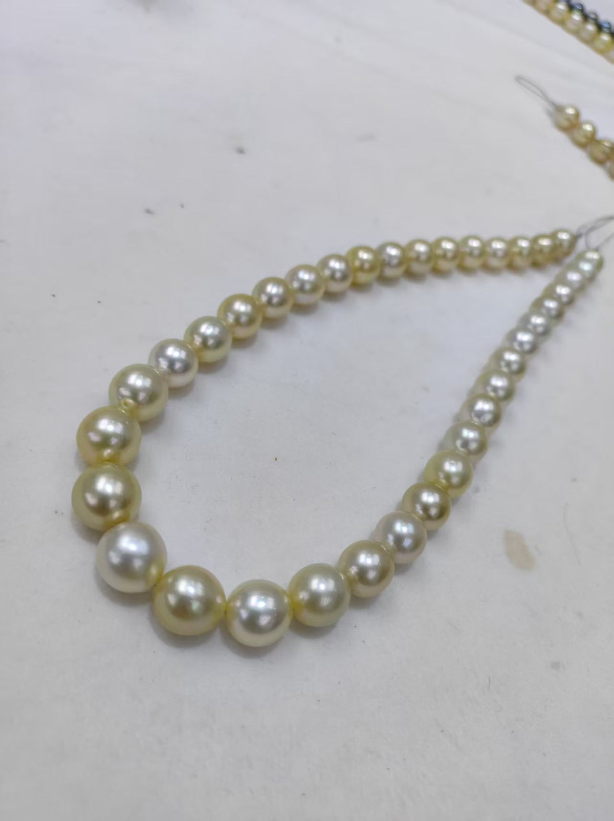 Light Gold South Sea Pearl Loose Strand | 9–12mm AAAA Grade | 37 Pearls per Strand