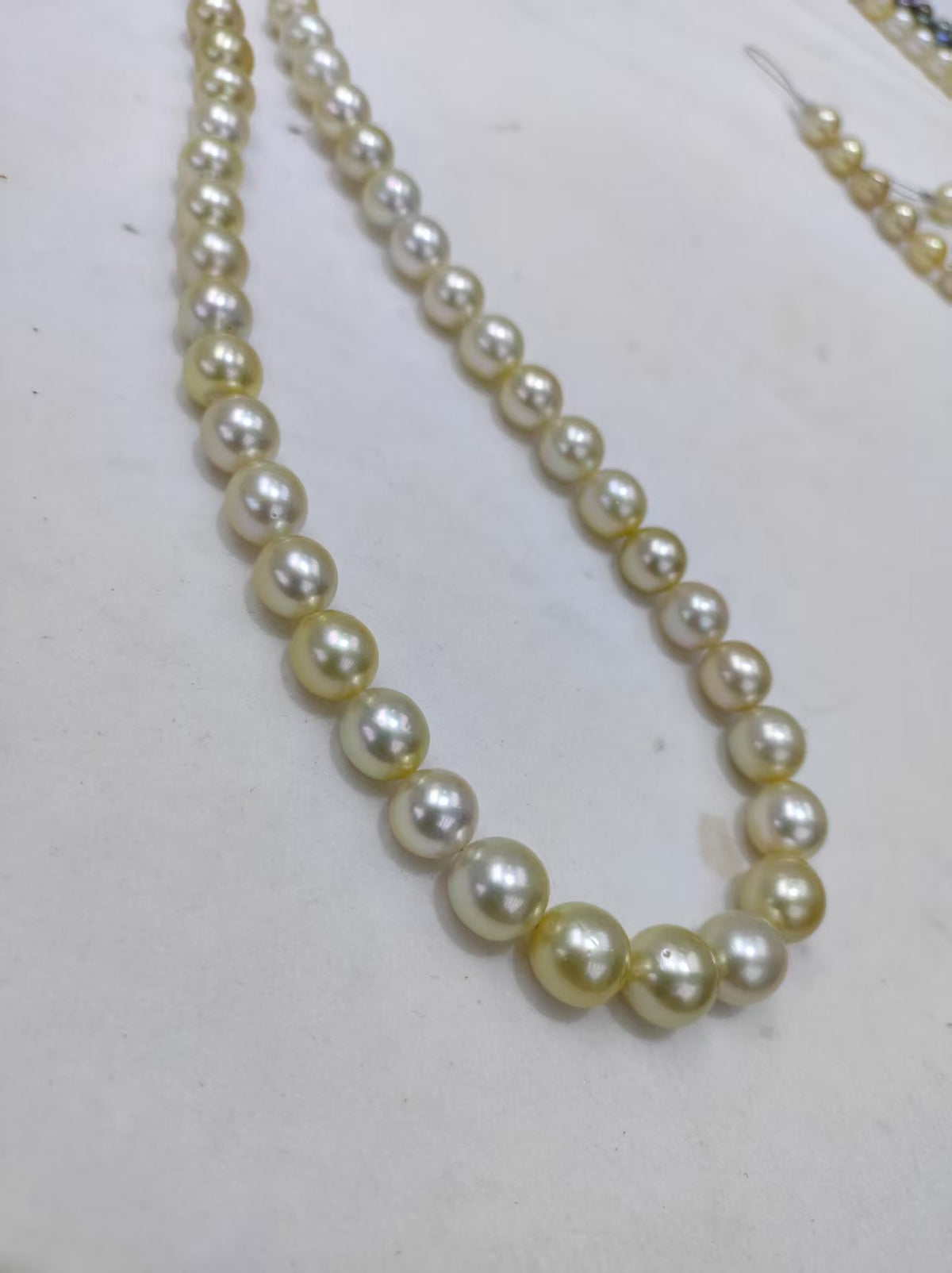 Light Gold South Sea Pearl Loose Strand | 9–12mm AAAA Grade | 37 Pearls per Strand