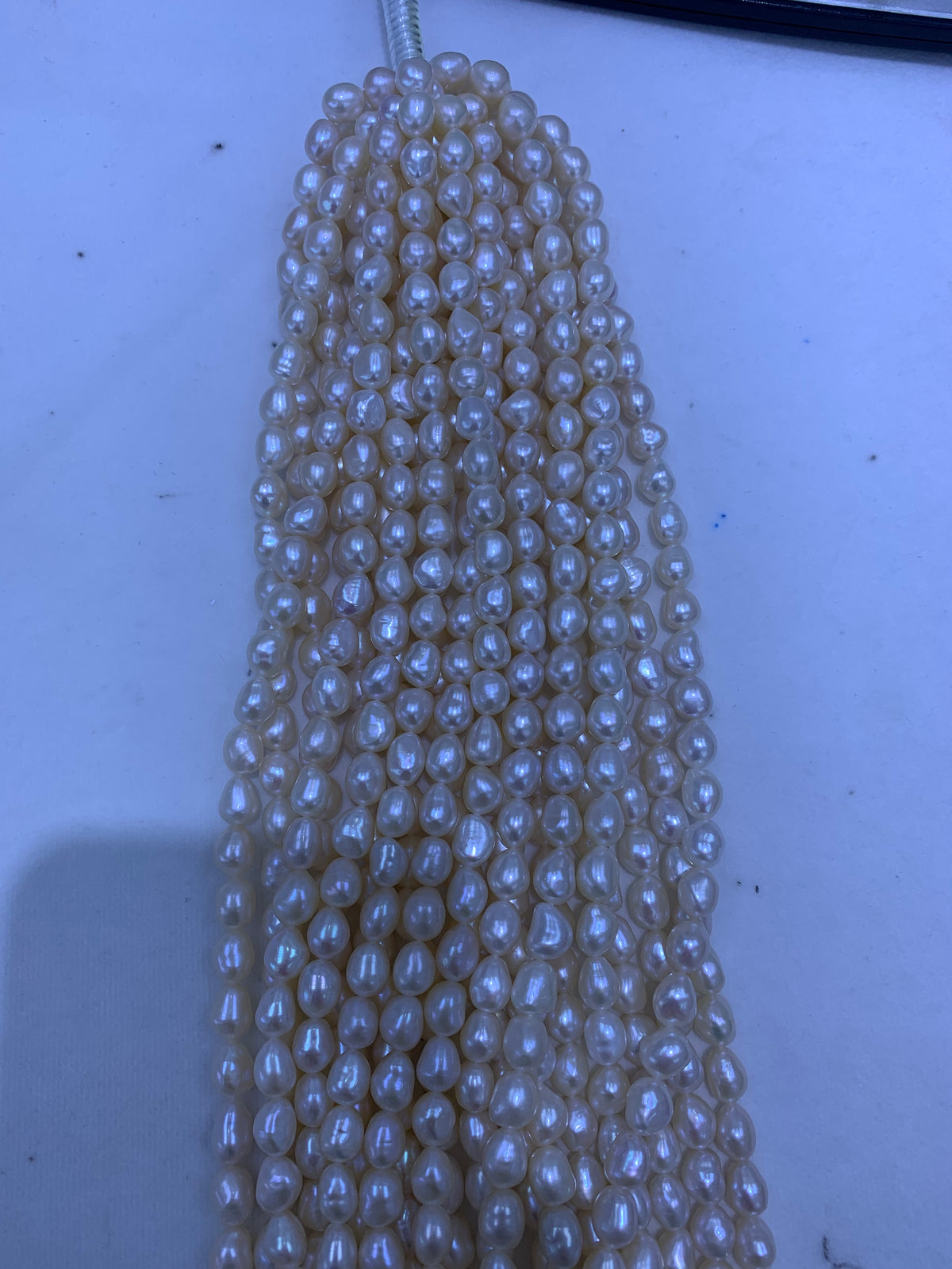 Champagne Freshwater Keshi Pearl Strand | 7–8mm AAA Grade | Per Strand