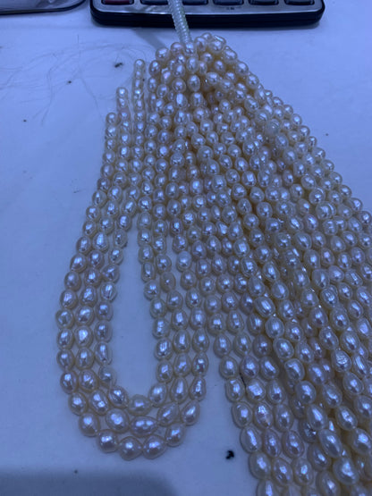 Champagne Freshwater Keshi Pearl Strand | 7–8mm AAA Grade | Per Strand