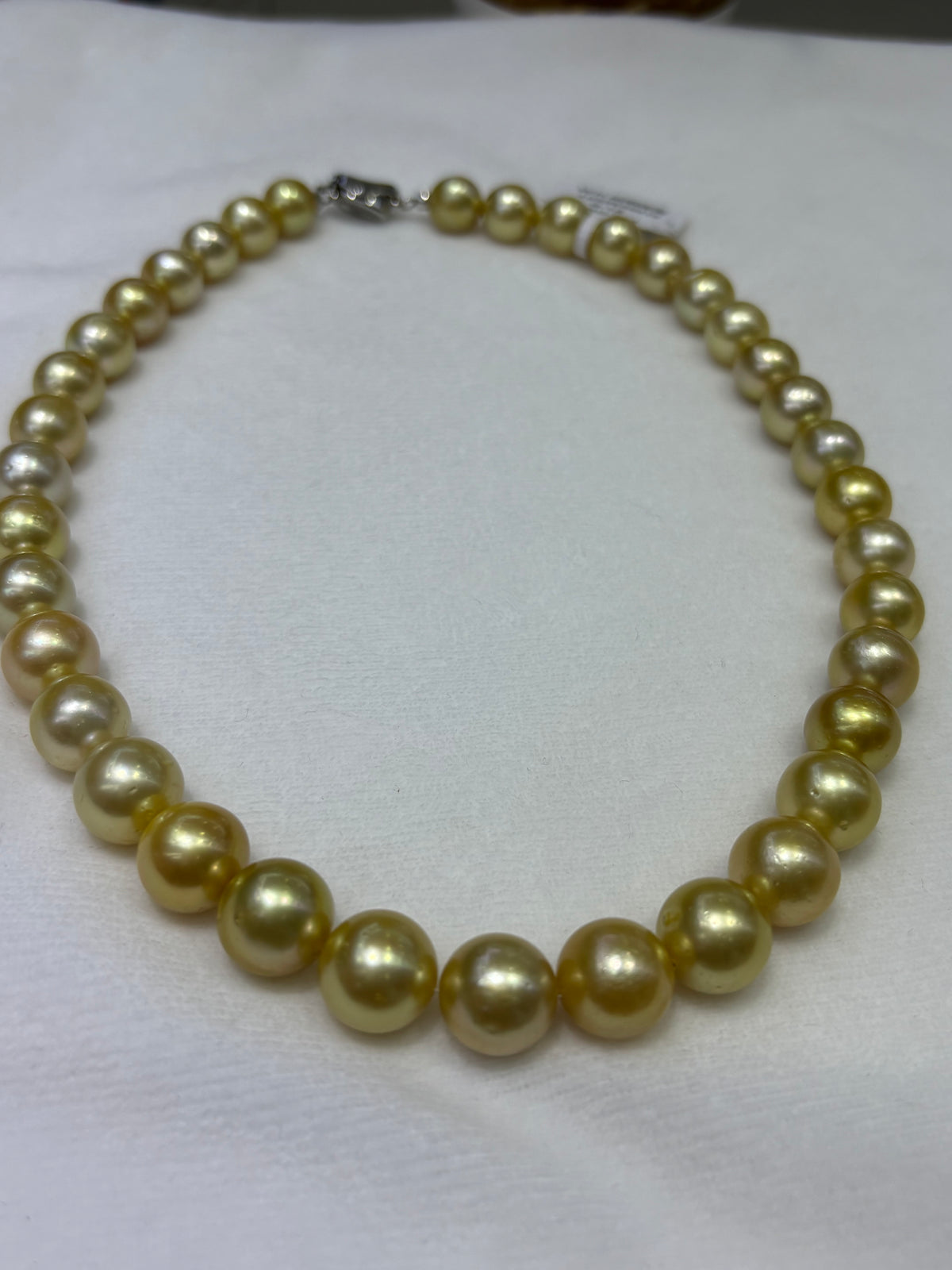 Medium Gold South Sea Pearl Strand | 9–12mm AA Grade | Near-Round | Per Strand