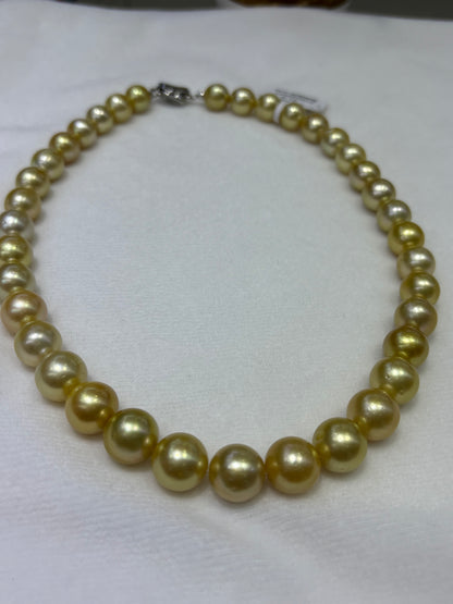 Medium Gold South Sea Pearl Strand | 9–12mm AA Grade | Near-Round | Per Strand
