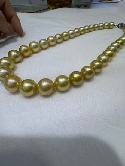Medium Gold South Sea Pearl Strand | 9–12mm AA Grade | Near-Round | Per Strand