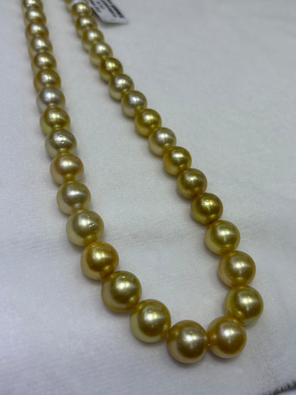 Medium Gold South Sea Pearl Strand | 9–12mm AA Grade | Near-Round | Per Strand